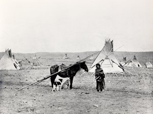 Comanche-indiaan door American Photographer